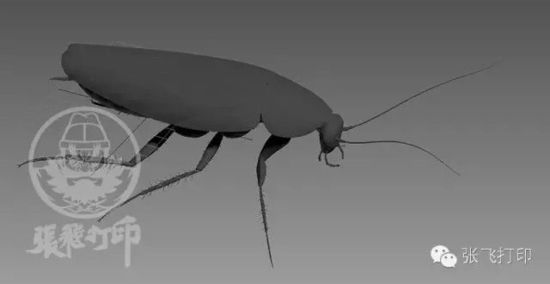 3D打印蟑螂小強(qiáng)誕生記(超精細(xì)) 妹紙膽小也可入
3D打印蟑螂,3D打印小強(qiáng),3D打印技術(shù),3D打印服務(wù),3D打印平臺,e鍵打印