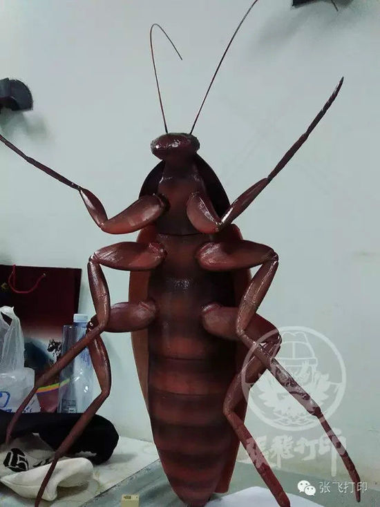 3D打印蟑螂小強(qiáng)誕生記(超精細(xì)) 妹紙膽小也可入
3D打印蟑螂,3D打印小強(qiáng),3D打印技術(shù),3D打印服務(wù),3D打印平臺,e鍵打印