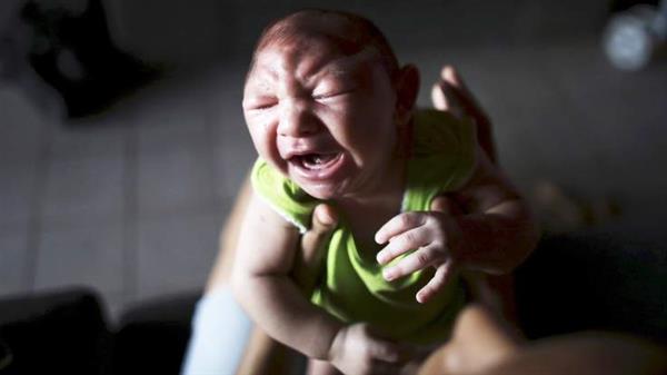 科學家攻克Zika病毒 高中生攜3D打印來幫忙

Zika病毒,3D打印醫療行業,3D打印材料價格,3D打印技術,3D打印材料,3D打印成本,3D打印價格