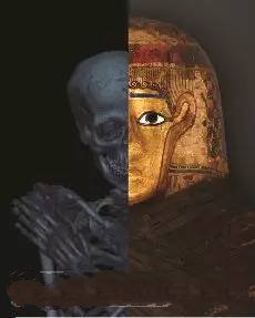 3D打印技術(shù)助歷史學(xué)家剖析木乃伊"結(jié)構(gòu)"_e鍵打印服務(wù)平臺